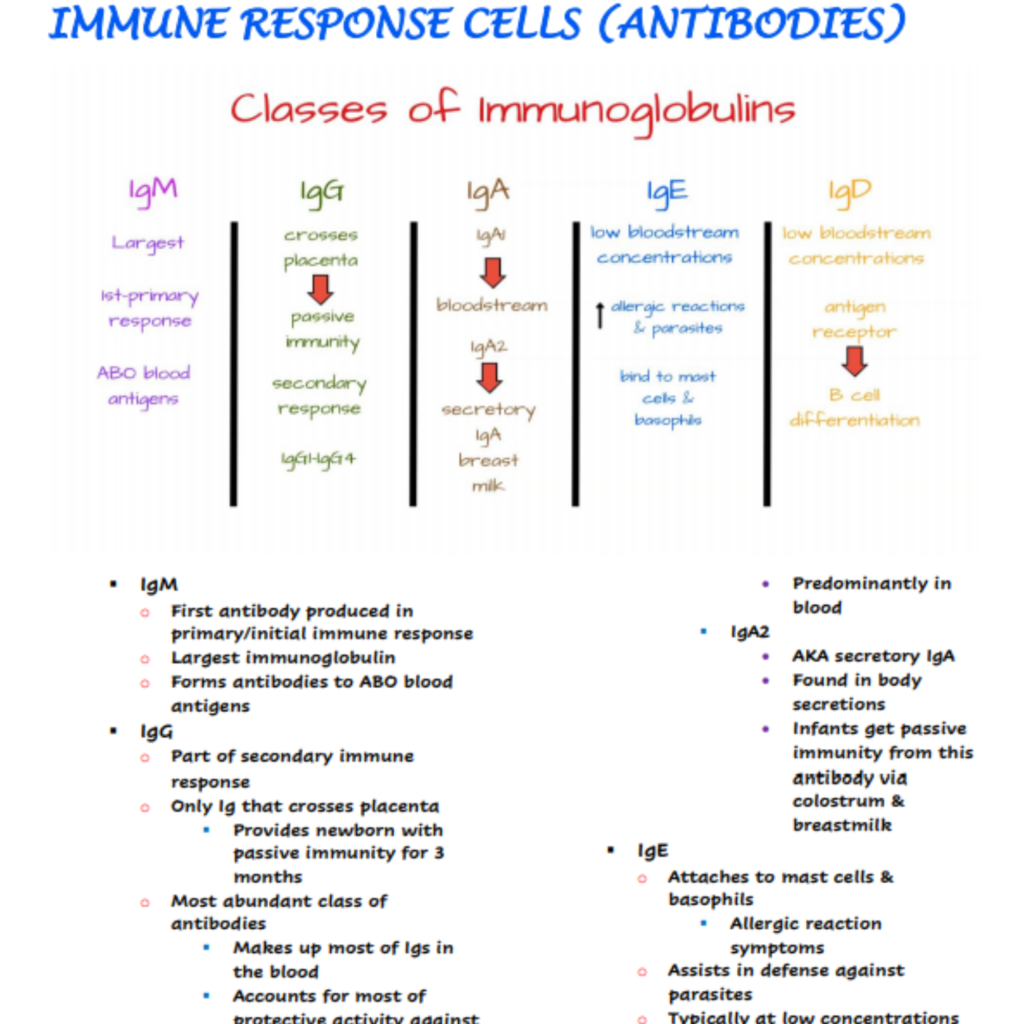 Immunology Nursing Notes Scholarly Nurse