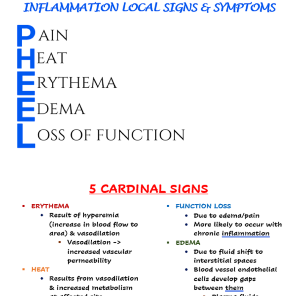 Immunology nursing notes