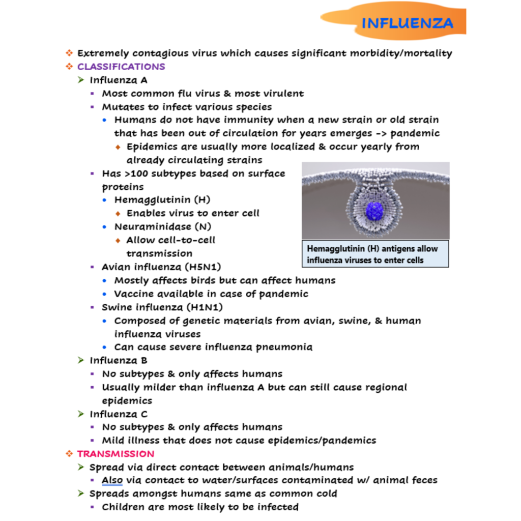 Influenza Nursing Notes - Scholarly Nurse