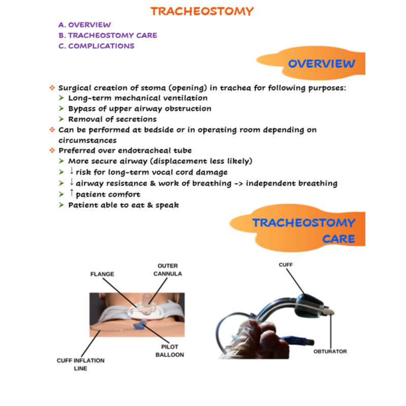 Tracheostomy Nursing Notes Scholarly Nurse